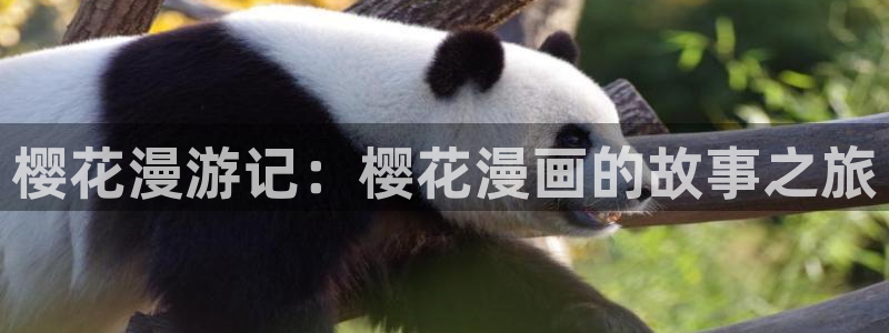 禁漫天堂哪里下载：樱花漫游记：樱花漫画的故事之旅